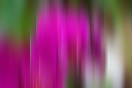Light abstract gradient motion blurred background. Colorful lines texture wallpaperの写真素材