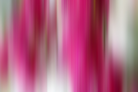 Light abstract gradient motion blurred background. Colorful lines texture wallpaperの写真素材