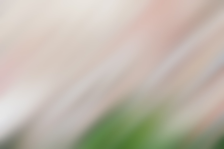 Light abstract gradient motion blurred background. Colorful lines texture wallpaperの写真素材