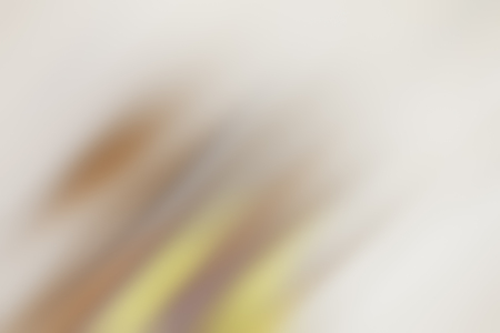 Light abstract gradient motion blurred background. Colorful lines texture wallpaperの写真素材