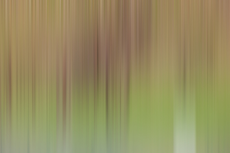 Light abstract gradient motion blurred background. Colorful lines texture wallpaperの写真素材