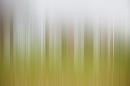 Light abstract gradient motion blurred background. Colorful lines texture wallpaper