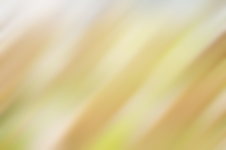 Light abstract gradient motion blurred background. Colorful lines texture wallpaperの写真素材