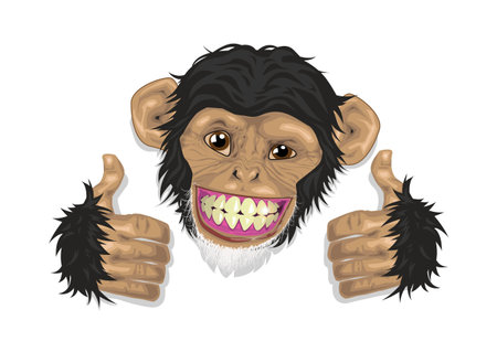 chimpanzee