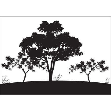 Silhouettes of big treeのイラスト素材