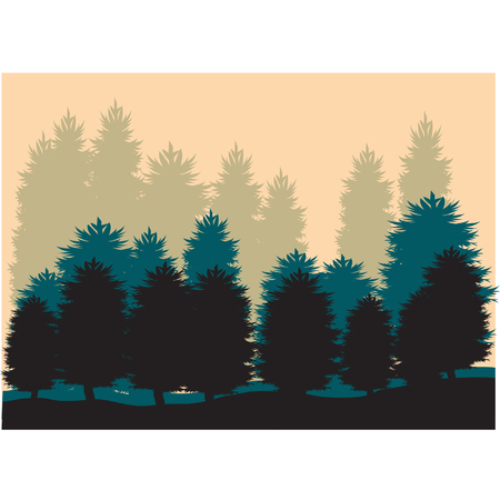 Silhouettes of Spruceのイラスト素材