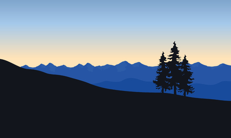 Silhouette of spruce in desert at the sunriseのイラスト素材