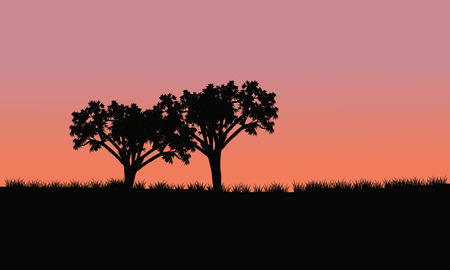 two trees in fields sunrise with the silhoutteのイラスト素材