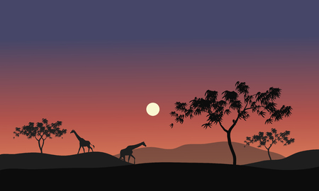 Silhouette illustration of giraffes at the nightのイラスト素材