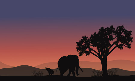 Africa landscape with elephant silhouette at sunsetのイラスト素材