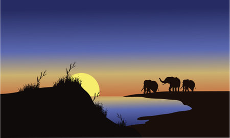 Silhouette family elephants at the sunset in lakeのイラスト素材