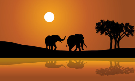 African Elephants at Sunset africana silhouette with sunのイラスト素材