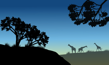 Silhouette of tree and giraffe in savanaのイラスト素材