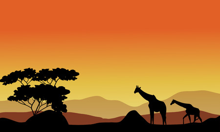 Illustration of the giraffes on the hills at the sunsetのイラスト素材