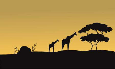 Silhouette of giraffe and tree at the sunsetのイラスト素材