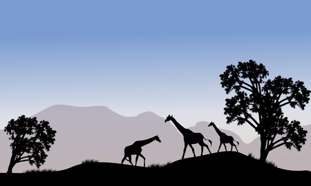 Giraffe in hills scenery with mountain backgroundsのイラスト素材