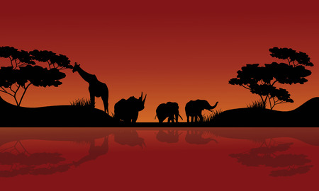 beauty silhouette of animal scenery at the nightのイラスト素材