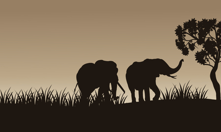 African elephant walking of silhouette with gray backgroundsのイラスト素材