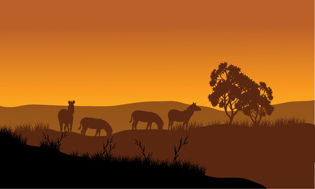 Zebra silhouette in the hills at sunsetのイラスト素材