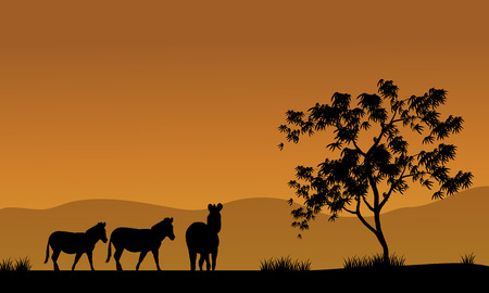 Silhouette of zebra in fields africa with bron backgroundsのイラスト素材