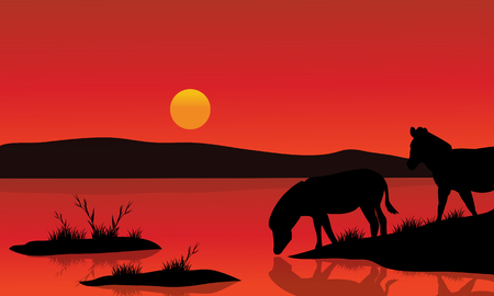 Silhouette of zebra in riverbank with red backgroundsのイラスト素材