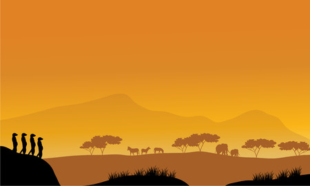 Beautiful meerkat silhouette at afternoon with orange backgroundsのイラスト素材