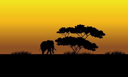 One elephant silhouette in the fields at the sunsetのイラスト素材