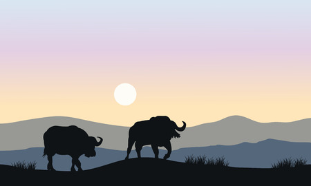 Silhouette of bull in hills at the morningのイラスト素材