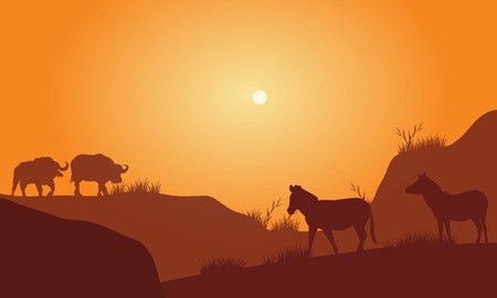 Silhouette of bison silhouette in hills at the afternoonのイラスト素材