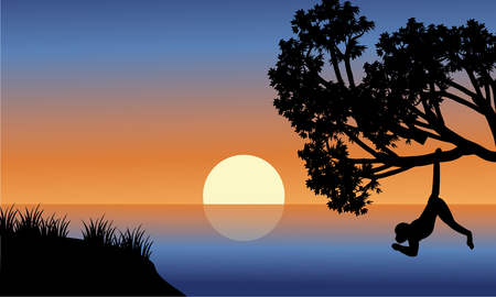Silhouette of monkey hanging in tree at the afternoonのイラスト素材