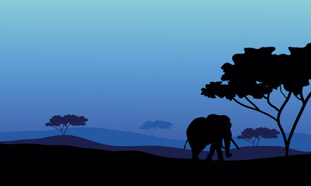 Elephant in fields scenery with blue backgroundsのイラスト素材