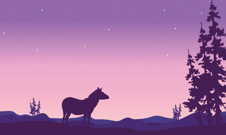 Zebra landscape in hills silhouette at nightのイラスト素材