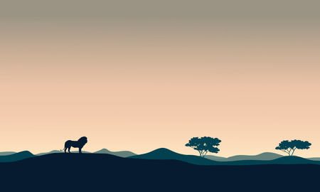 Beautiful landscape lion silhouettes at the afternoonのイラスト素材