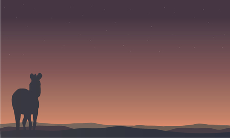 Landscape zebra silhouettes in hills at afternoonのイラスト素材