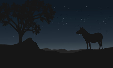 Zebra at night landscape silhouettes vector illustrationのイラスト素材