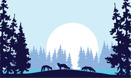 Silhouette of three fox and spruce in hillのイラスト素材