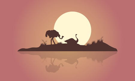 Silhouette of two Ostrich and reflection scenery illustrationのイラスト素材