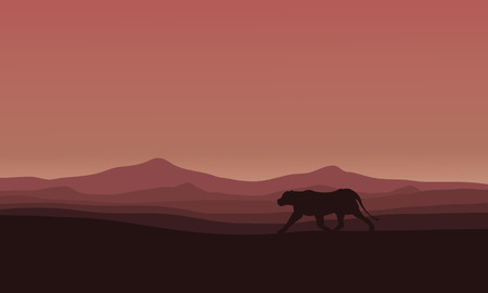 Lions in Africa scenery silhouettes vector illustrationのイラスト素材