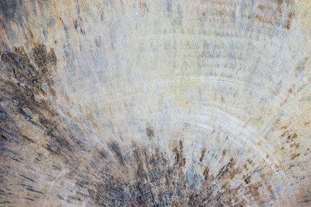 Old wooden chopping boardの写真素材