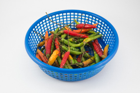 Chilli in blue basket, ,guinea-pepperの写真素材
