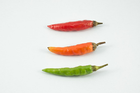 The Green Orange Red Chili Pepper isolated on white backgroundの写真素材