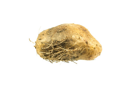 roasted sweet potato isolated on a white backgroundの写真素材