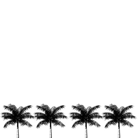 Silhouette of palm trees on white background. Vector illustration.の写真素材