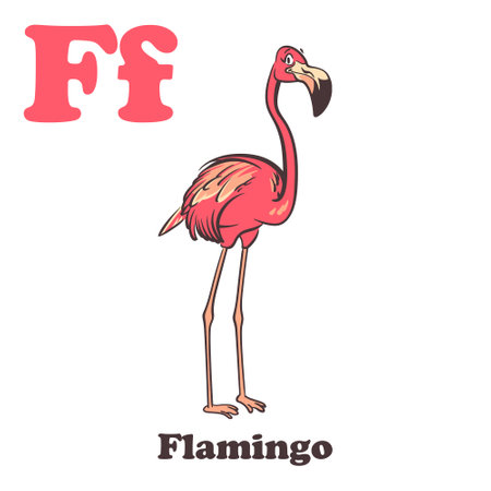 Flamingo Alphabet Cartoon Character For Kidsのイラスト素材