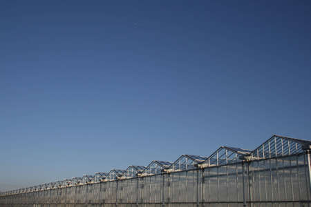 greenhousesの写真素材