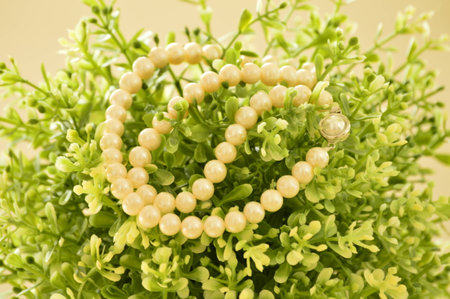 Pearl Necklaceの写真素材