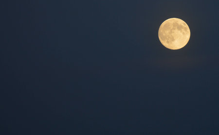 Full Moonの写真素材