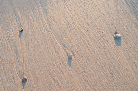 Stones on sand