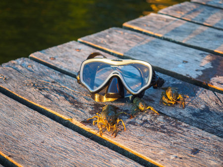 Crayfish were caught in the river and thrown onto the bridge. They are trying to escape. Nearby is a swimming maskの写真素材