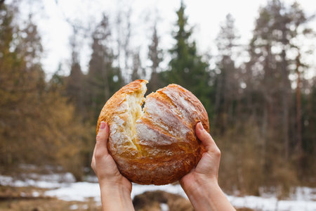 Fresh white bread on the background of the forest breaking open women's hands.